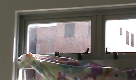 Pelacur cantik berpakaian sangat seksi untuk dua orang ini. Anak laki-laki menghargai perhatian seperti itu, menarik keluar anggota dan mulai sex indo xxxx mematuk gadis itu di semua lubang